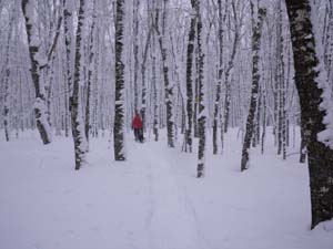 Earltown Lake Trail