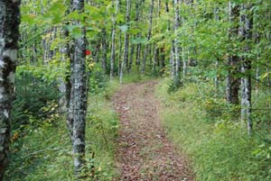 Gully Lake Trail