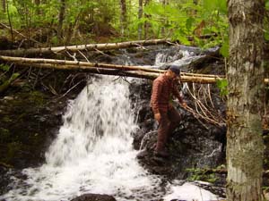 Gully Lake - Willards Falls