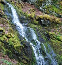 Janes Falls on Rogart Mtn Trail