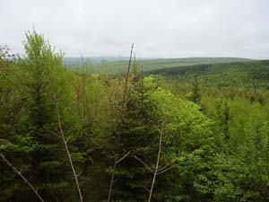 Catherine's Lookoff from Rogart Mountain Trail