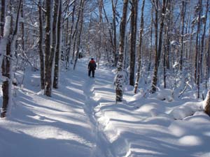 Rogart Mountain Trail