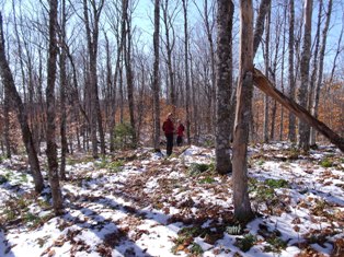 Willards Trail, Early snow, Nov 2011