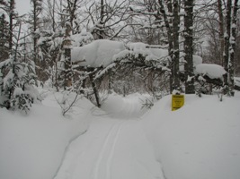 Winter 2011, Yes, we had snow!