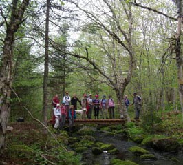 Testing the new Juniper Brook Bridge!!